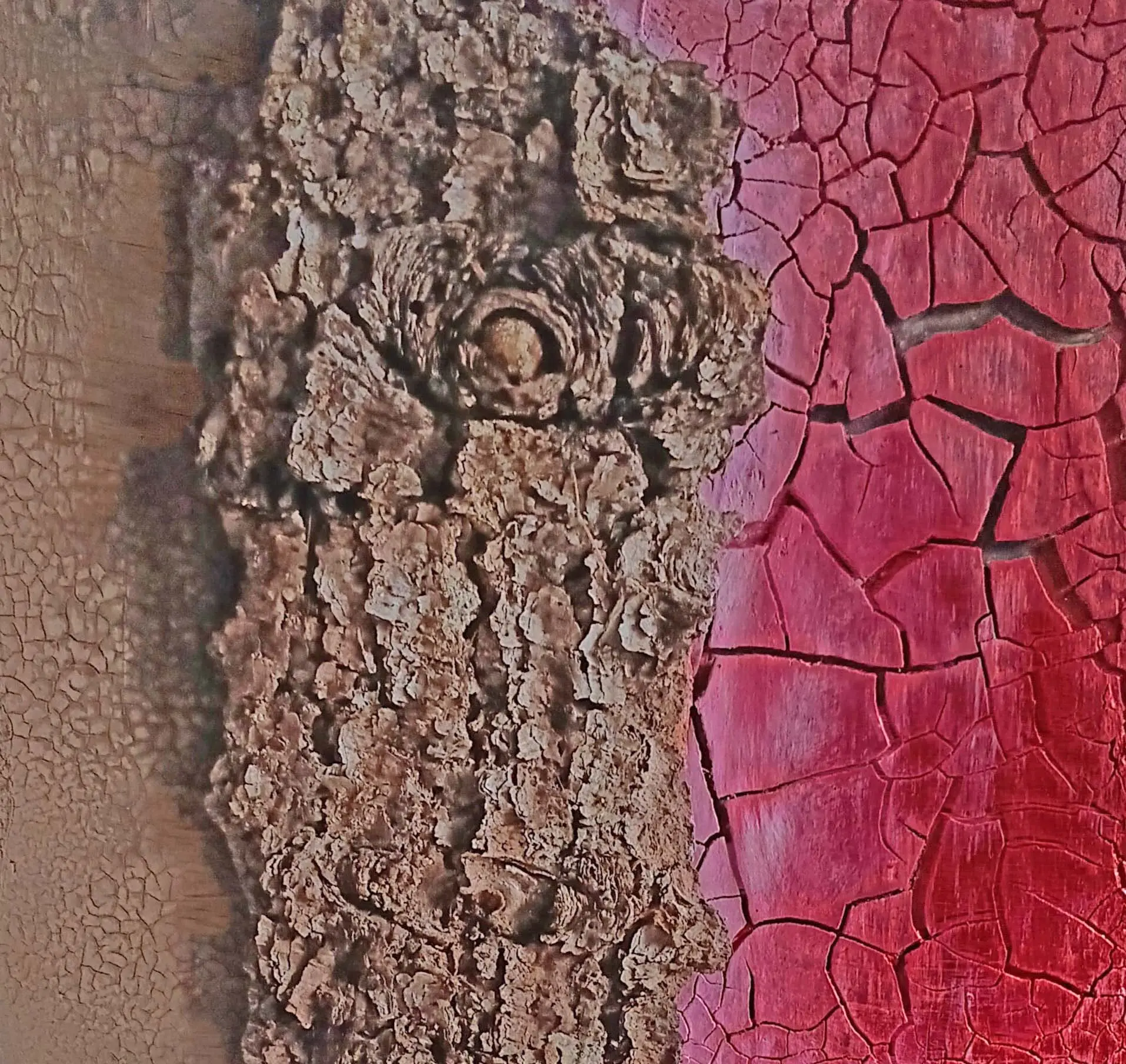 TITLE Himbeer-Rinde  BESCHREIBUNG Als Teil einer Serie vereint das Bild "20_2.jpg" Wabi-Sabi mit der rauen Natur. Rissige Rinde trifft auf matte Himbeer-Nuancen und zeigt die ehrliche, unperfekte Schönheit des Vergänglichen.