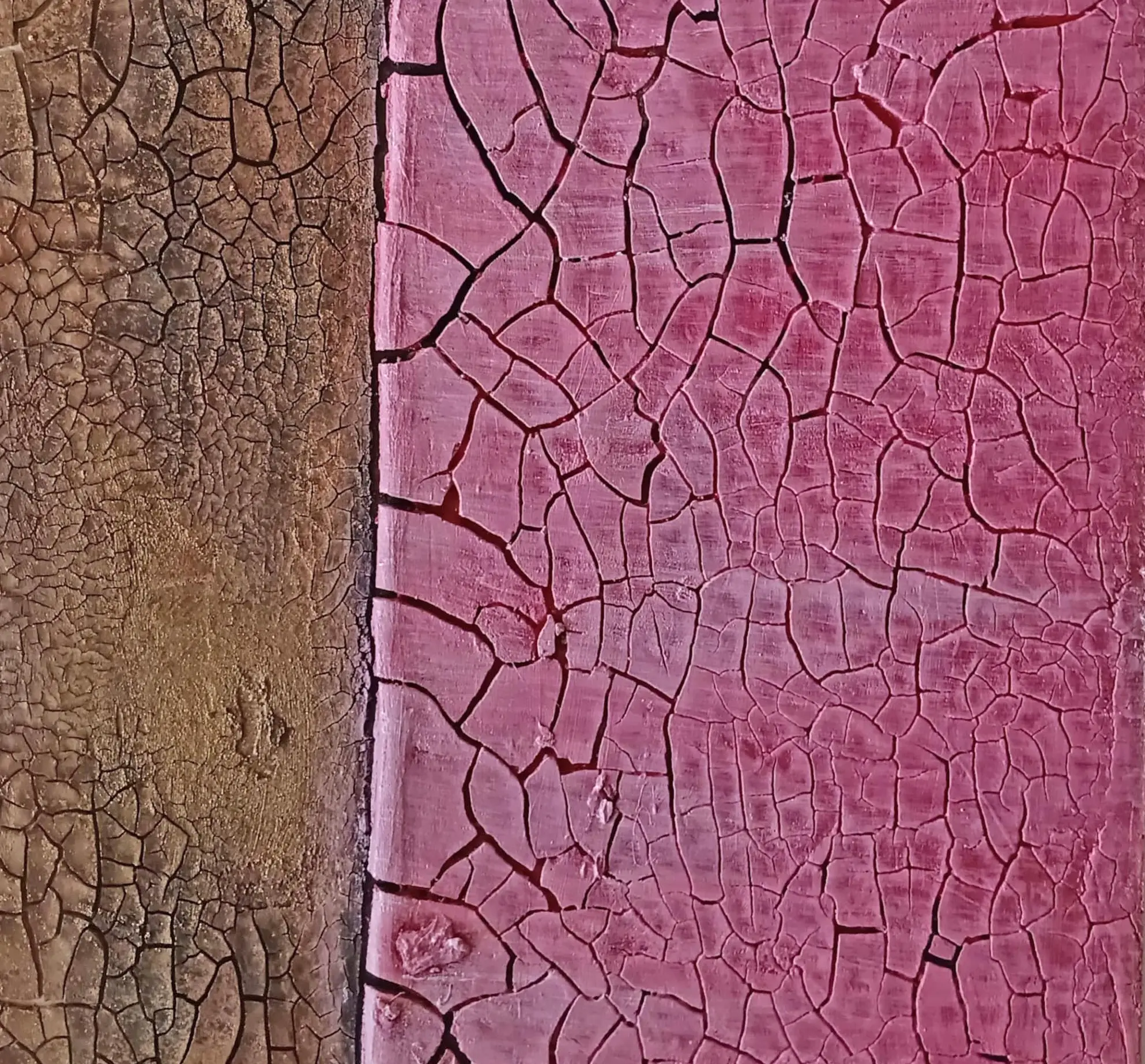 TITLE Himbeer-Struktur  BESCHREIBUNG Als Teil einer Serie vollendet das Bild "21_2.jpg" den Wabi-Sabi-Gedanken. Ein feines Netzwerk aus Rissen überzieht das matte Himbeer-Rosa und zeigt im Kontrast zum dunklen Ton die vollkommene Schönheit im Unvollkommenen.